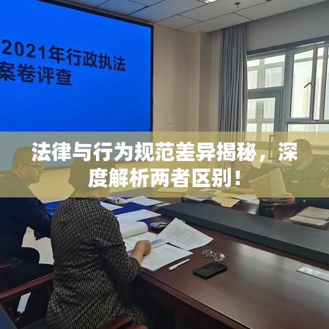 法律與行為規(guī)范差異揭秘，深度解析兩者區(qū)別！