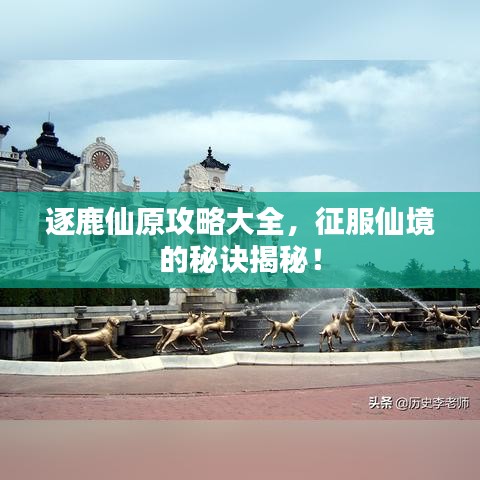 逐鹿仙原攻略大全，征服仙境的秘訣揭秘！