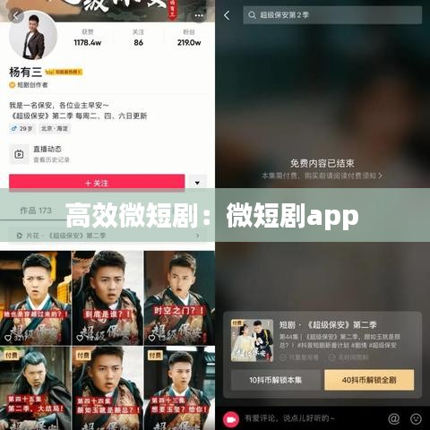 高效微短?。何⒍虅pp 