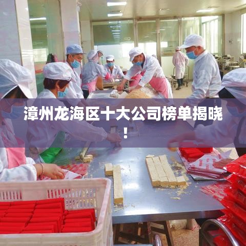 漳州龍海區(qū)十大公司榜單揭曉！
