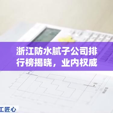 浙江防水膩子公司排行榜揭曉，業(yè)內(nèi)權(quán)威排名，優(yōu)質(zhì)企業(yè)一覽無余