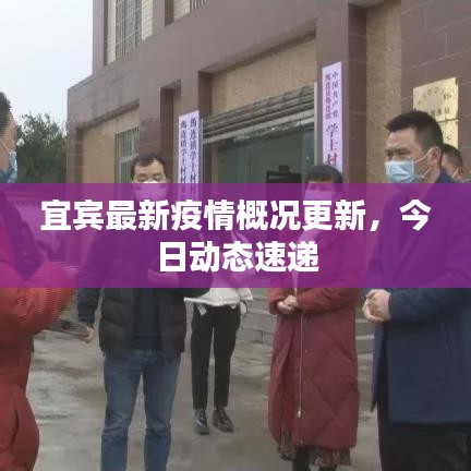 宜賓最新疫情概況更新，今日動(dòng)態(tài)速遞