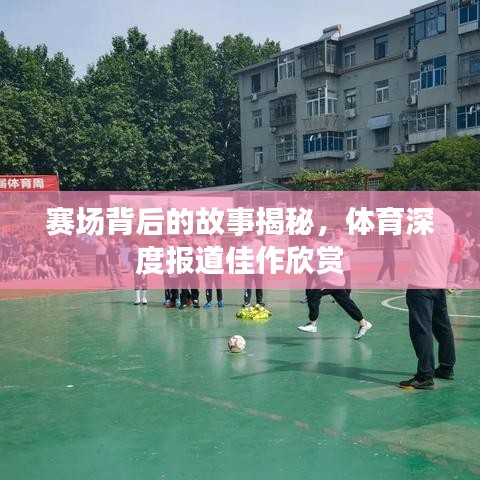賽場(chǎng)背后的故事揭秘，體育深度報(bào)道佳作欣賞