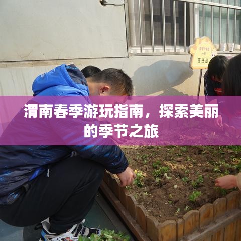 渭南春季游玩指南，探索美麗的季節(jié)之旅