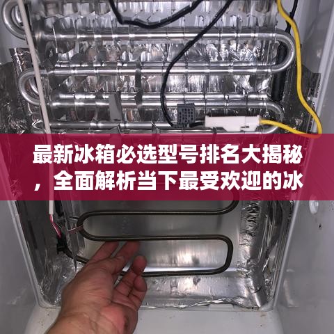 最新冰箱必選型號(hào)排名大揭秘，全面解析當(dāng)下最受歡迎的冰箱型號(hào)！
