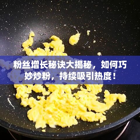 粉絲增長(zhǎng)秘訣大揭秘，如何巧妙炒粉，持續(xù)吸引熱度！