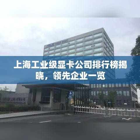 上海工業(yè)級顯卡公司排行榜揭曉，領(lǐng)先企業(yè)一覽