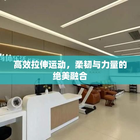 高效拉伸運動，柔韌與力量的絕美融合
