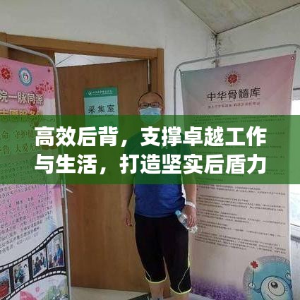 高效后背，支撐卓越工作與生活，打造堅實后盾力量