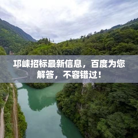邛崍招標最新信息，百度為您解答，不容錯過！