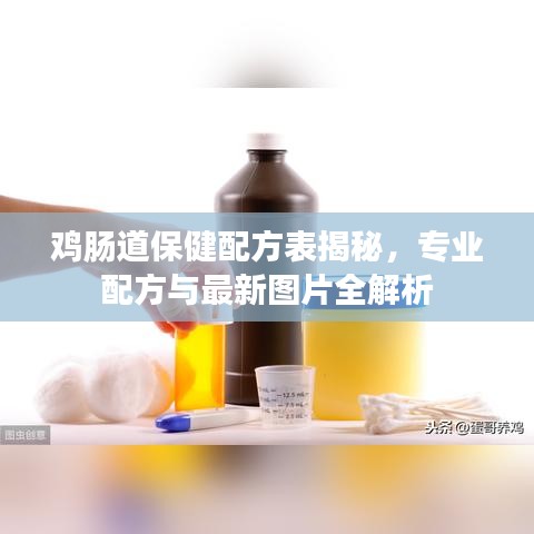 雞腸道保健配方表揭秘，專業(yè)配方與最新圖片全解析