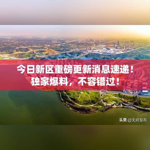 今日新區(qū)重磅更新消息速遞！獨家爆料，不容錯過！