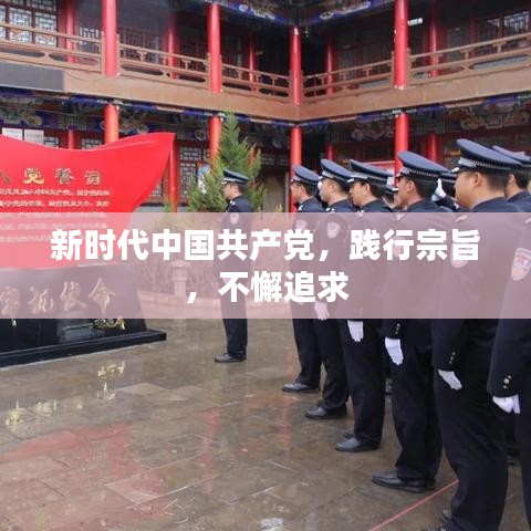 新時(shí)代中國共產(chǎn)黨，踐行宗旨，不懈追求