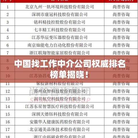 中國找工作中介公司權(quán)威排名榜單揭曉！