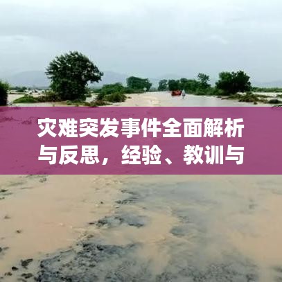 災(zāi)難突發(fā)事件全面解析與反思，經(jīng)驗、教訓(xùn)與應(yīng)對策略