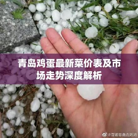 青島雞蛋最新菜價(jià)表及市場走勢深度解析