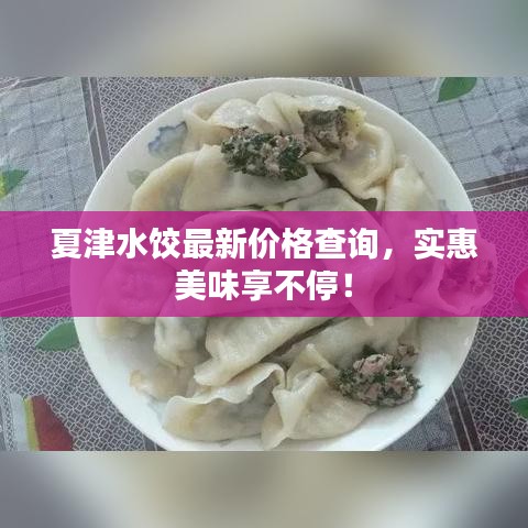 夏津水餃最新價(jià)格查詢，實(shí)惠美味享不停！