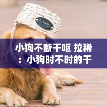 小狗不斷干嘔 拉?。盒」窌r不時的干嘔但吃喝拉撒正常 