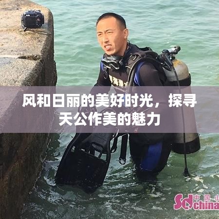 風和日麗的美好時光，探尋天公作美的魅力