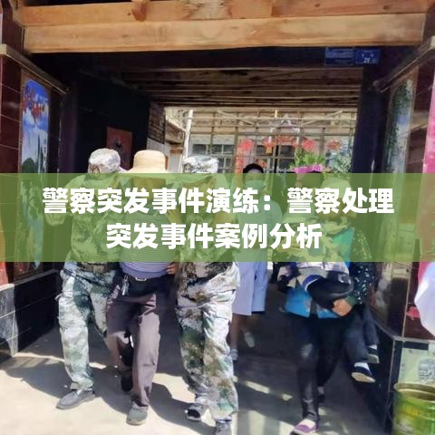 真獨(dú)簡貴 第3頁