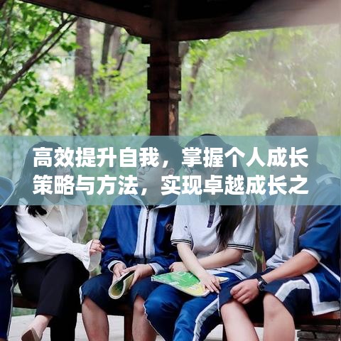高效提升自我，掌握個(gè)人成長(zhǎng)策略與方法，實(shí)現(xiàn)卓越成長(zhǎng)之路