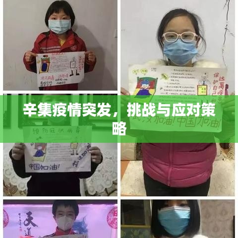 辛集疫情突發(fā)，挑戰(zhàn)與應(yīng)對策略