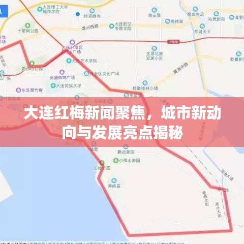 大連紅梅新聞聚焦，城市新動向與發(fā)展亮點揭秘