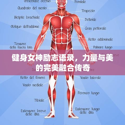 健身女神勵志語錄，力量與美的完美融合傳奇