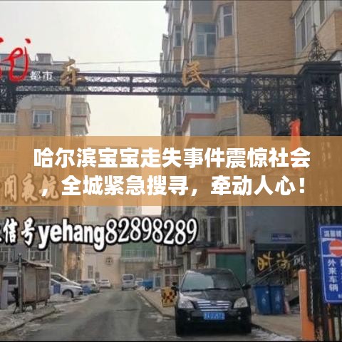 哈爾濱寶寶走失事件震驚社會，全城緊急搜尋，牽動人心！