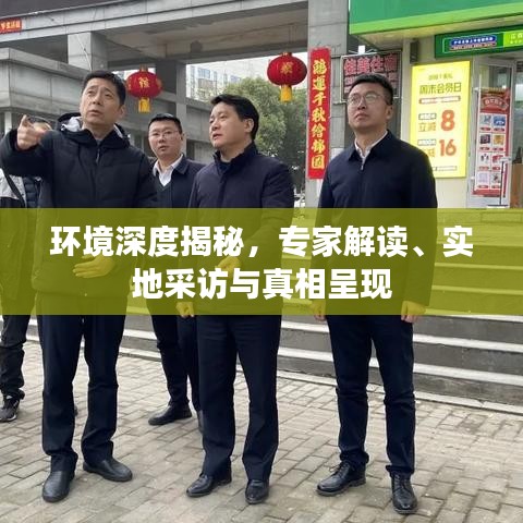 環(huán)境深度揭秘，專家解讀、實(shí)地采訪與真相呈現(xiàn)