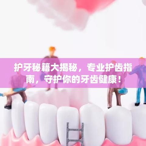 護牙秘籍大揭秘，專業(yè)護齒指南，守護你的牙齒健康！