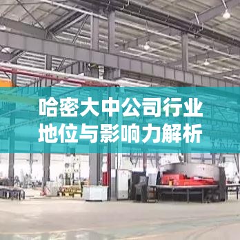 哈密大中公司行業(yè)地位與影響力解析，排名及影響力揭秘