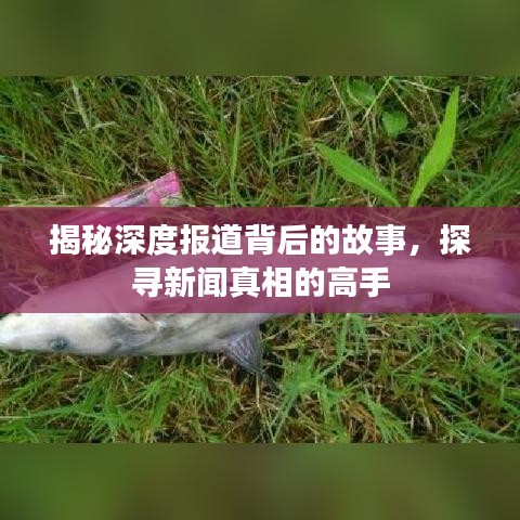 揭秘深度報道背后的故事，探尋新聞真相的高手