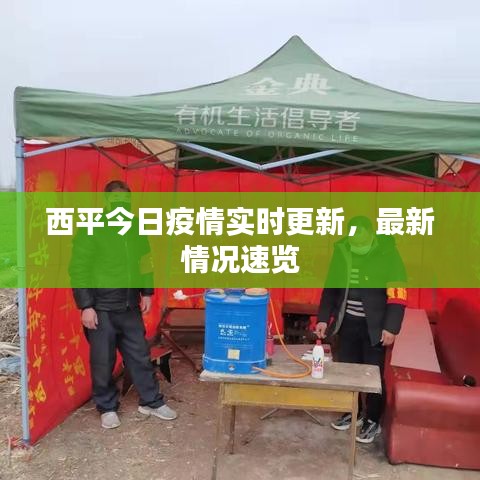 西平今日疫情實(shí)時(shí)更新，最新情況速覽