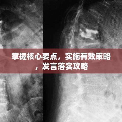 掌握核心要點，實施有效策略，發(fā)言落實攻略