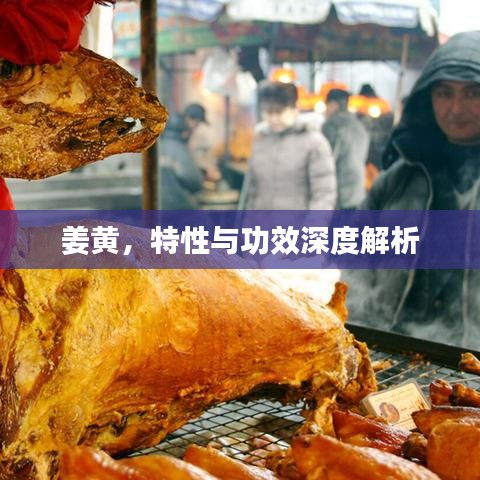 姜黃，特性與功效深度解析