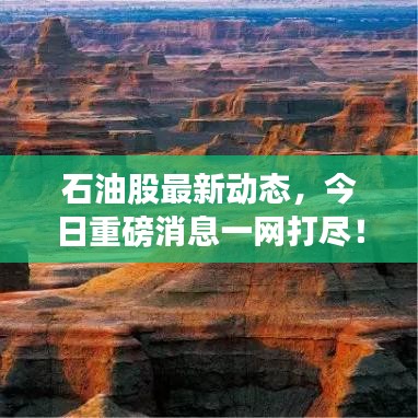 石油股最新動(dòng)態(tài)，今日重磅消息一網(wǎng)打盡！