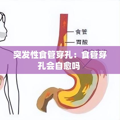 隨圓就方 第2頁