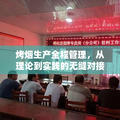 烤煙生產(chǎn)全程管理，從理論到實踐的無縫對接