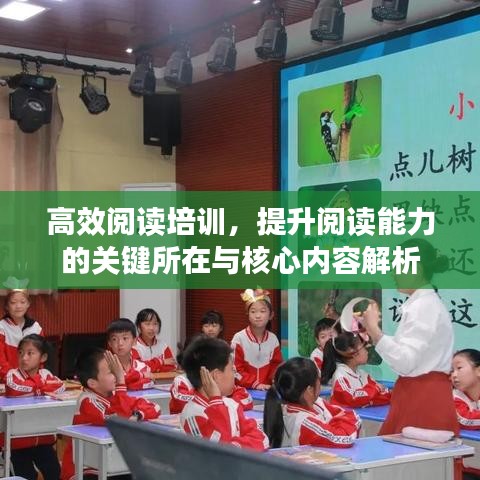 高效閱讀培訓，提升閱讀能力的關(guān)鍵所在與核心內(nèi)容解析