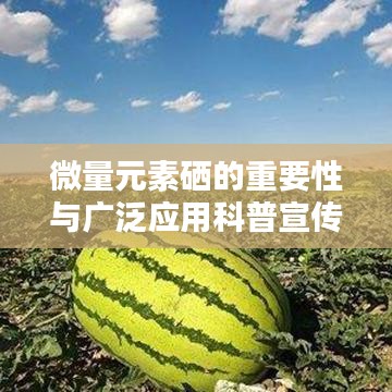 微量元素硒的重要性與廣泛應用科普宣傳啟動！