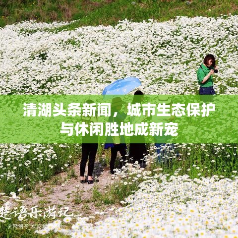 清湖頭條新聞，城市生態(tài)保護(hù)與休閑勝地成新寵