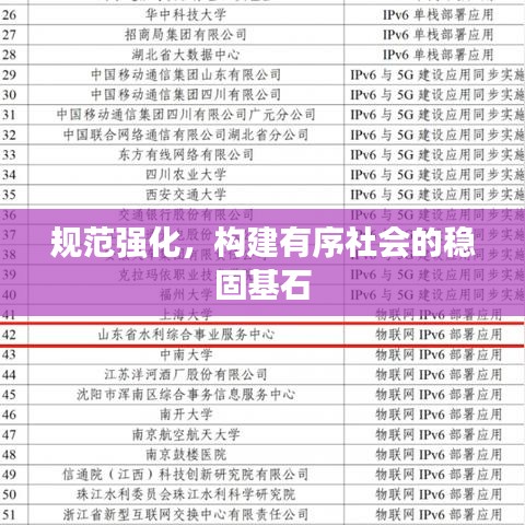 規(guī)范強(qiáng)化，構(gòu)建有序社會(huì)的穩(wěn)固基石