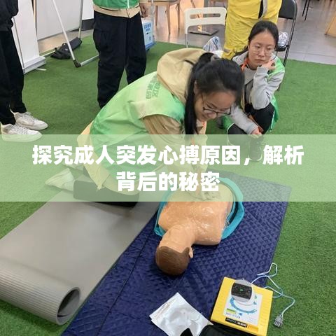 探究成人突發(fā)心搏原因，解析背后的秘密