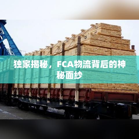 獨家揭秘，F(xiàn)CA物流背后的神秘面紗