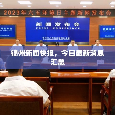 錦州新聞快報，今日最新消息匯總