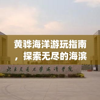 黃驊海洋游玩指南，探索無盡的海濱魅力！