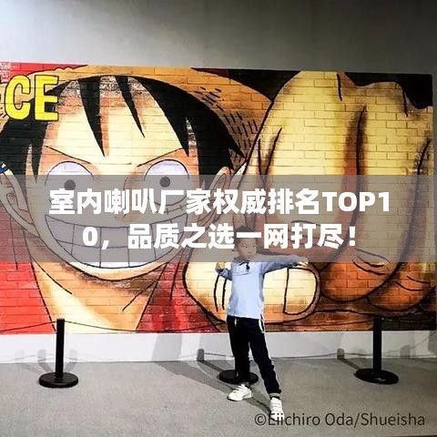 室內(nèi)喇叭廠家權(quán)威排名TOP10，品質(zhì)之選一網(wǎng)打盡！