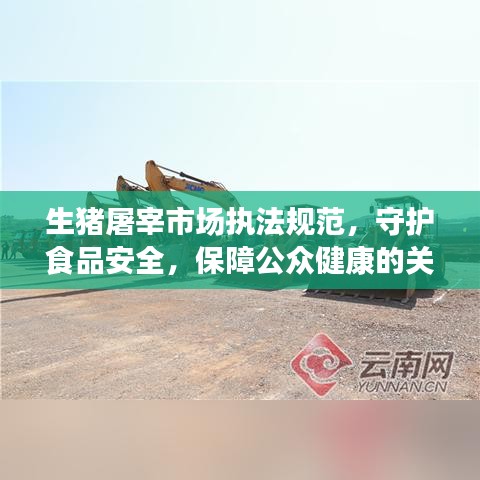 生豬屠宰市場執(zhí)法規(guī)范，守護食品安全，保障公眾健康的關鍵環(huán)節(jié)