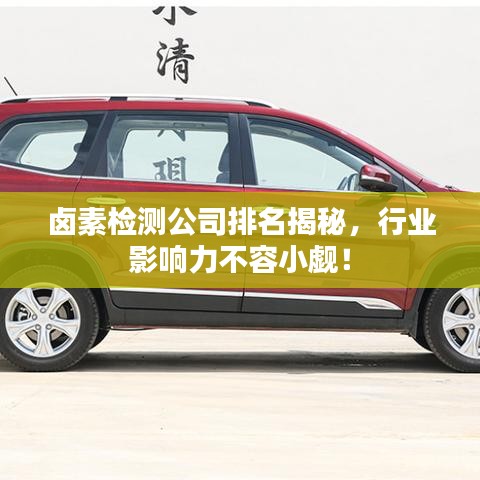 鹵素檢測公司排名揭秘，行業(yè)影響力不容小覷！